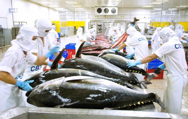 Vietnamese processed tuna exports see upswing